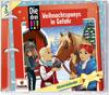 Adventskalender/Weihnachtsponys in Gefahr view 2